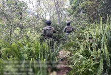 Dos elementos de la Secretaría de Marina (SEMAR) con equipo táctico y uniformes de camuflaje caminan de espaldas por un sendero estrecho rodeado de vegetación densa y helechos en una zona boscosa de Puebla.