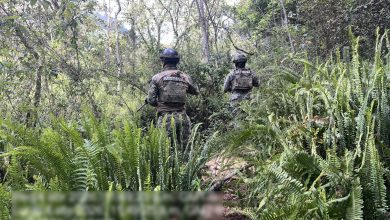 Dos elementos de la Secretaría de Marina (SEMAR) con equipo táctico y uniformes de camuflaje caminan de espaldas por un sendero estrecho rodeado de vegetación densa y helechos en una zona boscosa de Puebla.
