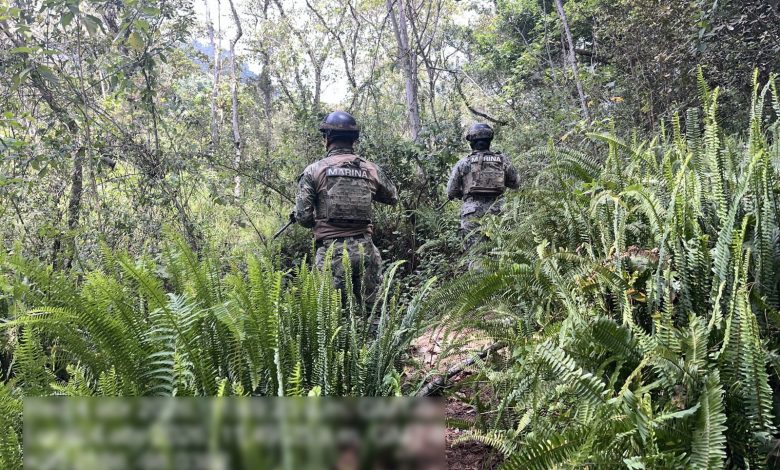 Dos elementos de la Secretaría de Marina (SEMAR) con equipo táctico y uniformes de camuflaje caminan de espaldas por un sendero estrecho rodeado de vegetación densa y helechos en una zona boscosa de Puebla.