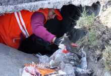 Personal del Organismo Operador del Servicio de Limpia de Puebla realiza labores de barrido y recolección de basura en el camellón del Bulevar Municipio Libre bajo la supervisión del Gobierno Municipal.