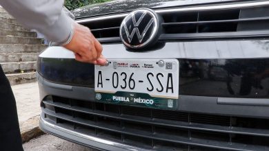 Manos ajustando con un destornillador una placa de matrícula oficial de transporte público en un vehículo.