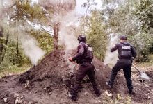 Destruye Policía Forestal 11 hornos clandestinos de madera