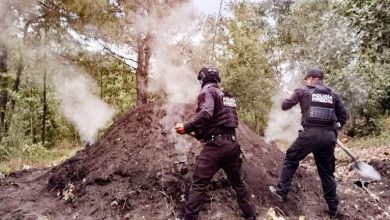 Destruye Policía Forestal 11 hornos clandestinos de madera