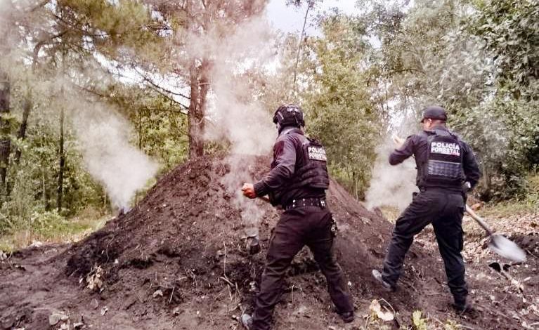 Destruye Policía Forestal 11 hornos clandestinos de madera