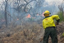 Protección Civil logra el 75% de control en el incendio forestal de Santa María Cohetzala, en la Mixteca.