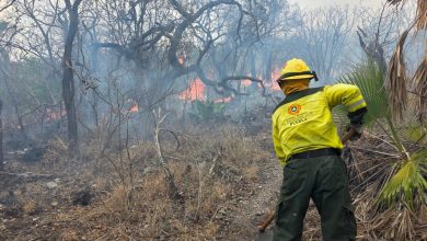 Protección Civil logra el 75% de control en el incendio forestal de Santa María Cohetzala, en la Mixteca.