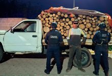 Productos forestales asegurados durante operativos de la Policía Estatal en Oriental y Tlatlauquitepec.