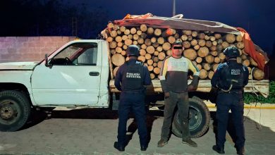 Productos forestales asegurados durante operativos de la Policía Estatal en Oriental y Tlatlauquitepec.