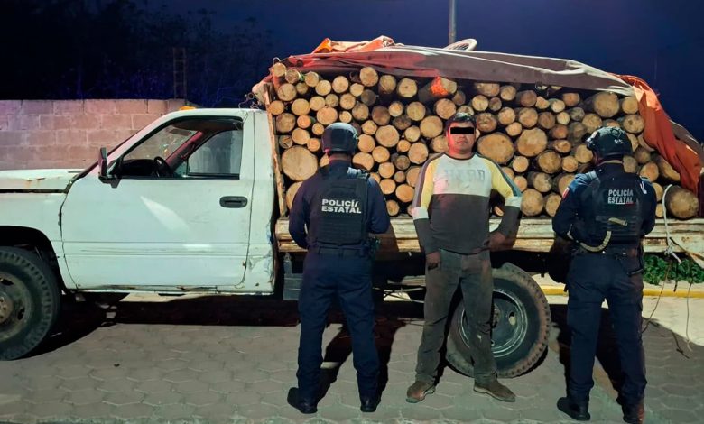 Productos forestales asegurados durante operativos de la Policía Estatal en Oriental y Tlatlauquitepec.